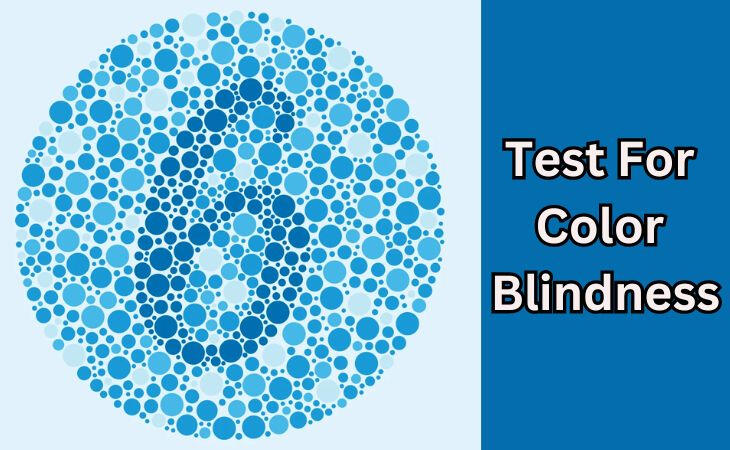 Color Vision Test Sample Number Ishara Color Blind Test: Decode Your True Colors with Precision