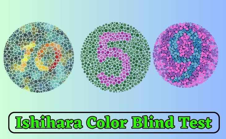 Ishara Color Blind Test: Decode Your True Colors with Precision