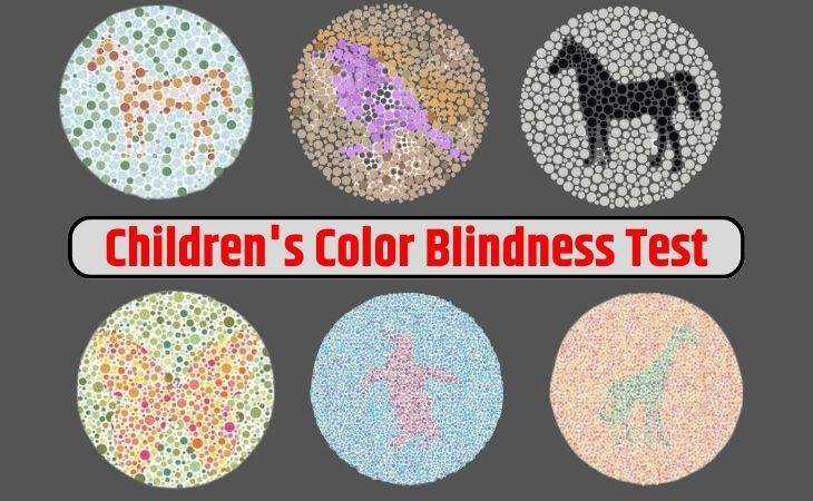 Ishara Color Blind Test: Decode Your True Colors with Precision